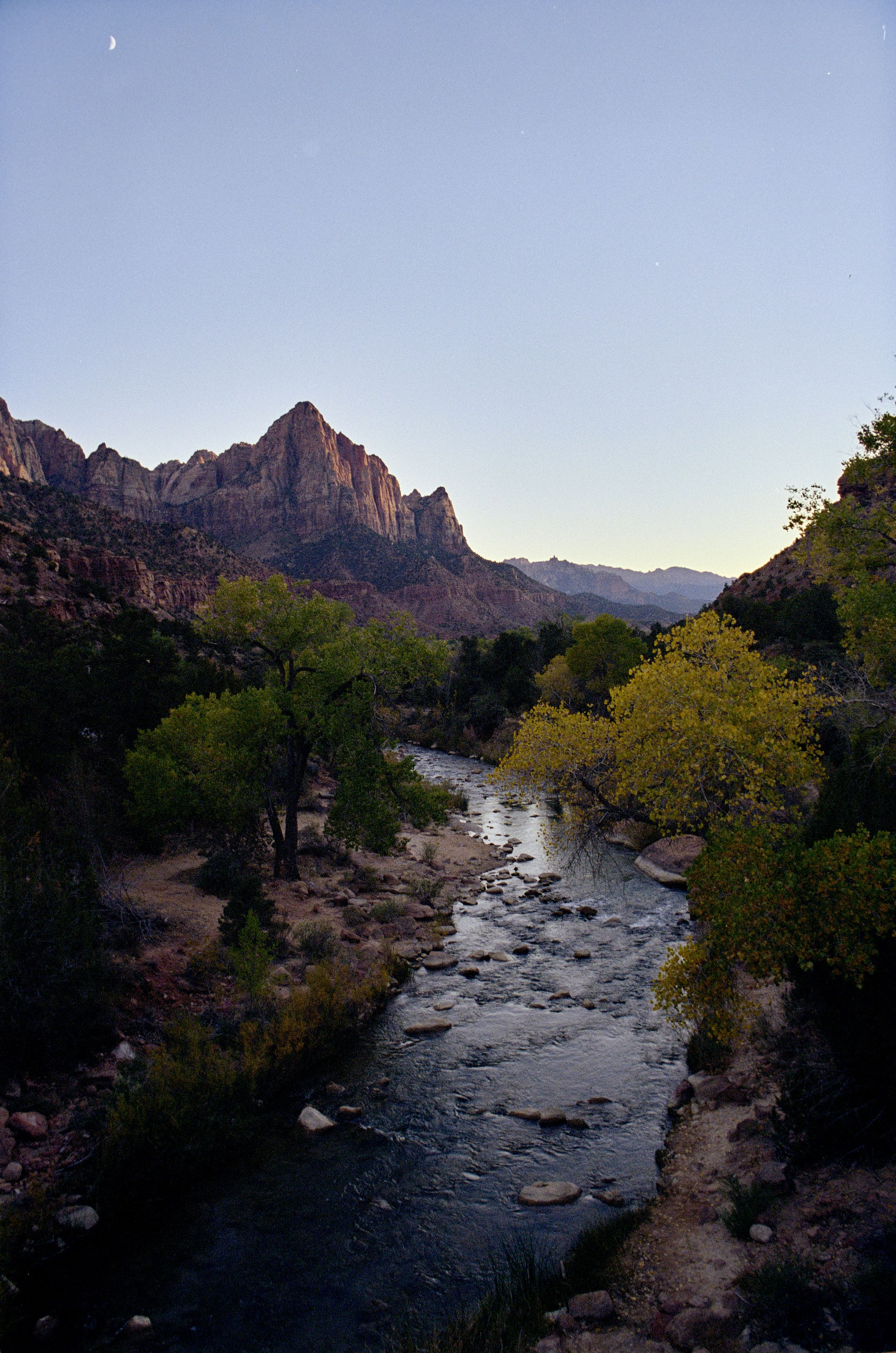 The Watchman